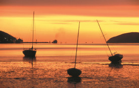BP boats