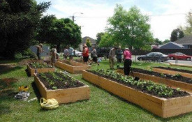 Ediblegarden FitMaxWzkzMCwzMzZd