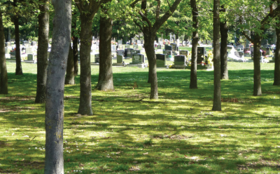 Avonhead Park Cemetery