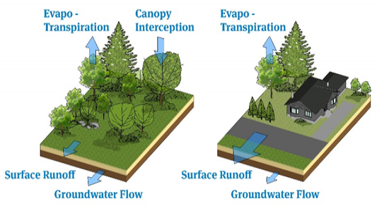 shows difference between natural vegetation and housing or roads