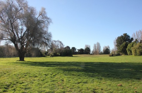 example Field QEII Park