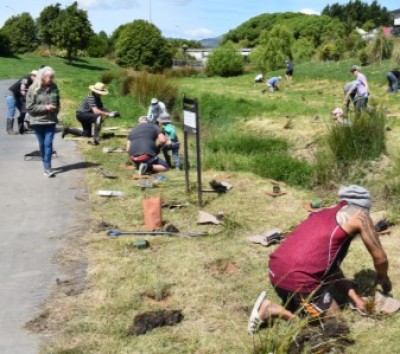 Photo showing members of the community planting in the reserve