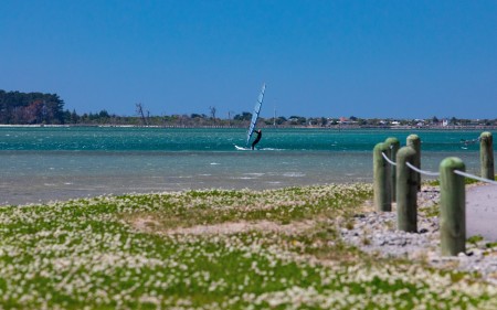 Image of windsurfer in action on the estuary just off Scott Park