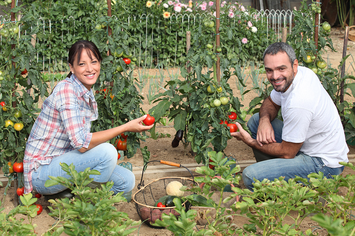 Grow food at home