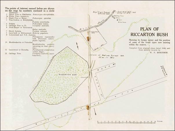 A 1924 map of Riccarton Bush showing the extent of the bush as it existed in 184