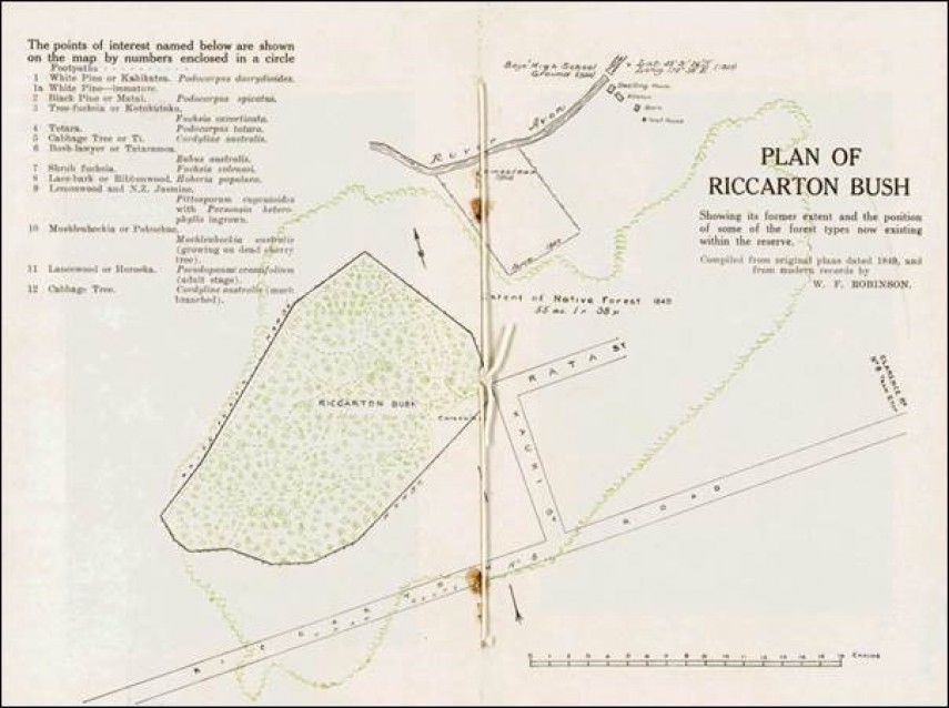 A 1924 map of Riccarton Bush showing the extent of the bush as it existed in 184