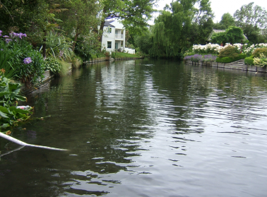 Wairarapa Stream shown with a white house in the background