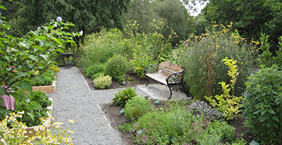 Herb garden