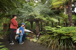 Christchurch Botanic Gardens Christchurch City Council