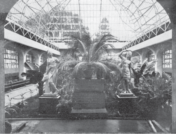 Historic interior of glasshouse