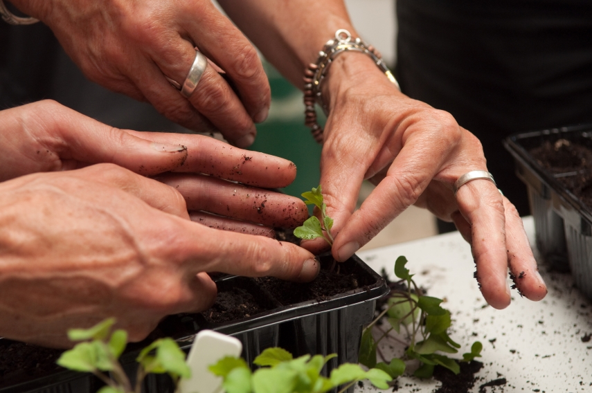 garden workshop