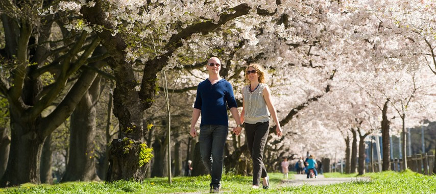 People walking in Hagley Park