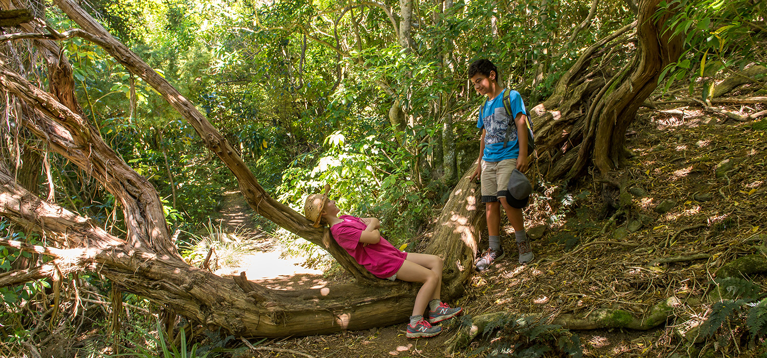 kids playing along Gilpins Track