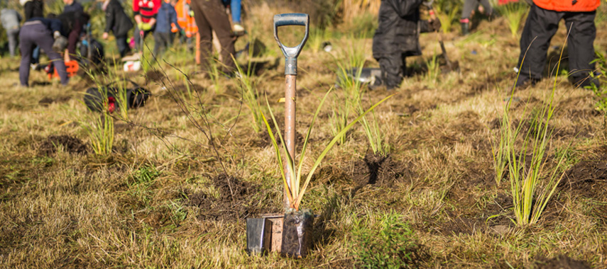 Community planting; photographer Aaron Campbell. 