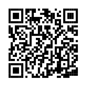 QRCodeOptionTwoImage.Alt