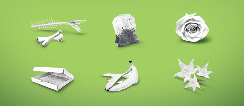 CIT4460 Organics banner 800x350