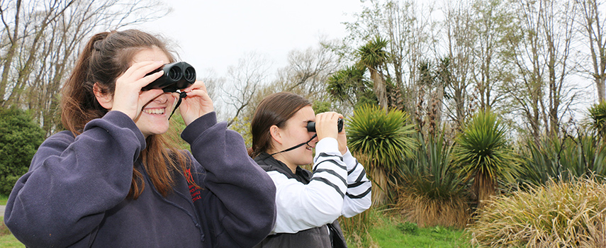 Students searching the wetlands