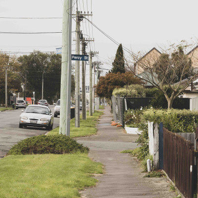 Street trees to grow urban canopy in inner east